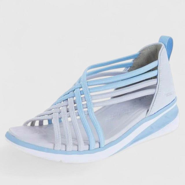 Blue / 11 US | 42 EU