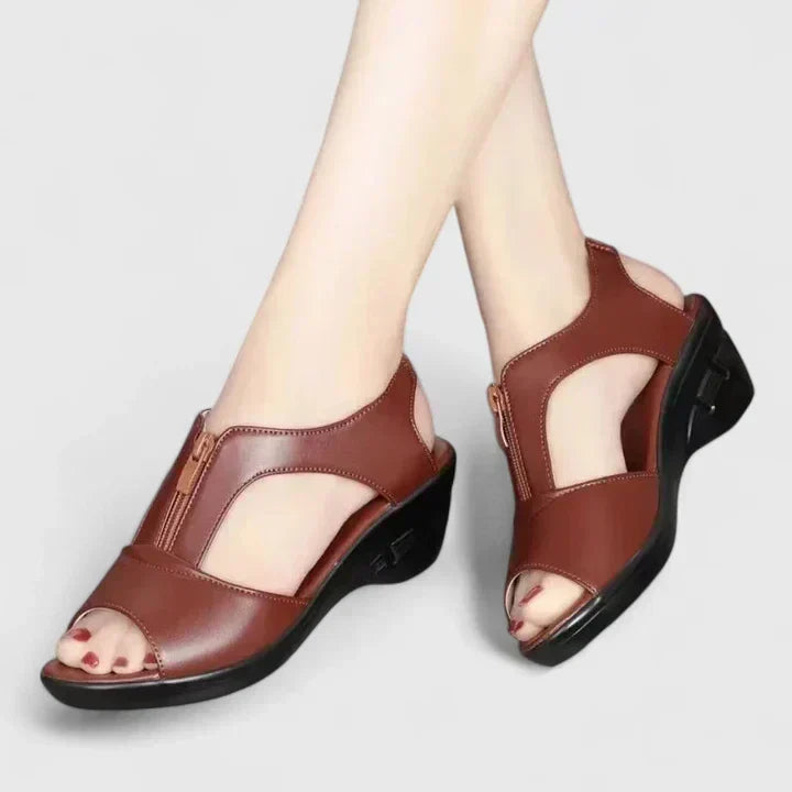 Red Wine / 11 US | 42 EU